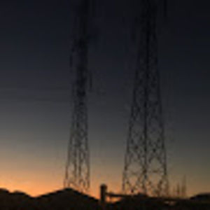 Meet your Posher, Rosie